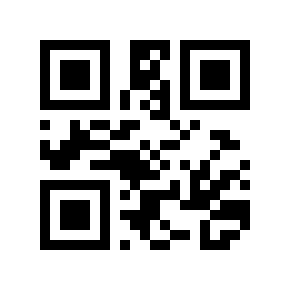 QR code 313539