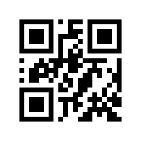 QR code 313728