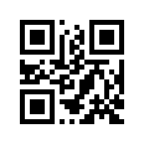 QR code 313733