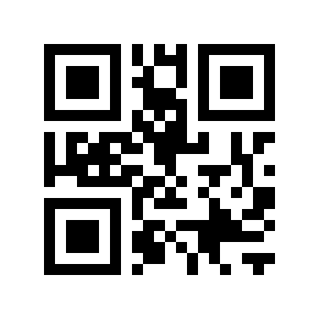 QR code 313928