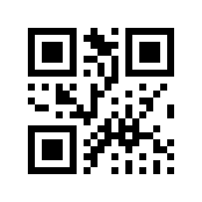 QR code 313969