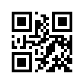 QR code 317300