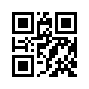 QR code 317304