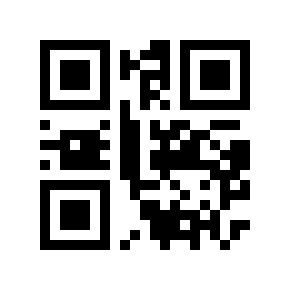 QR code 318713