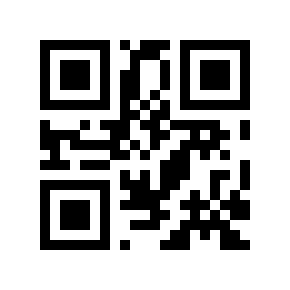QR code 321313