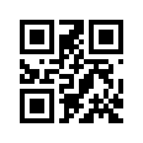 QR code 323132