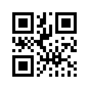QR code 323329