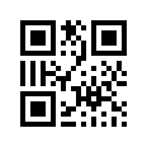 QR code 336060