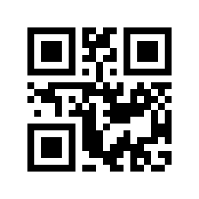 QR code 339804
