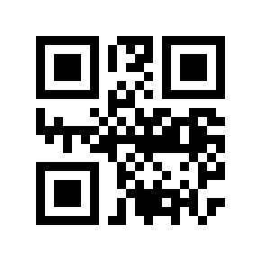 QR code 369851