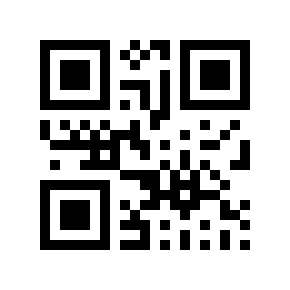 QR code 369984