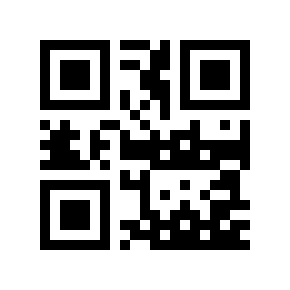 QR code 370058