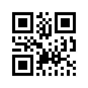QR code 370205