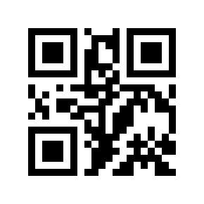 QR code 373506