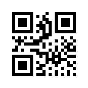 QR code 38304