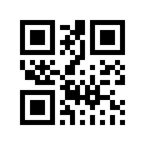 QR code 383733