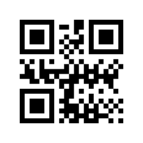 QR code 3999999