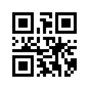 QR code 39999999