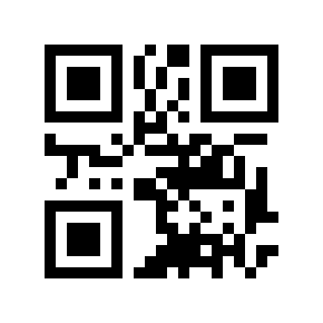 QR code 40295