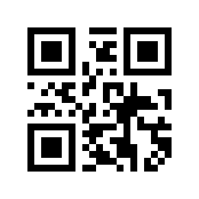 QR code 4065053