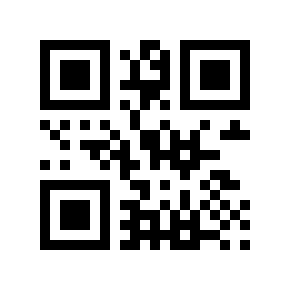 QR code 4109060
