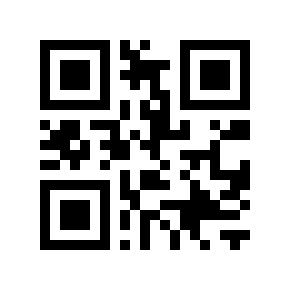 QR code 411030