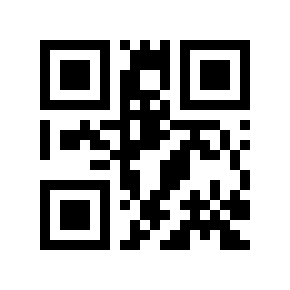 QR code 411202