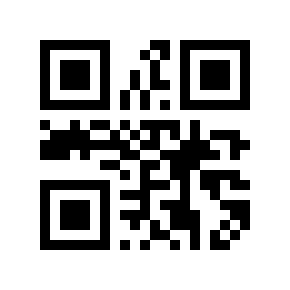 QR code 4166668