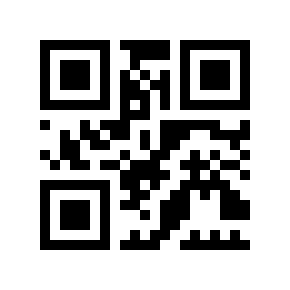 QR code 4205