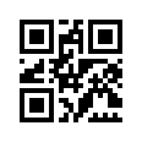QR code 4462