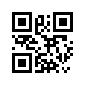 QR code 456394