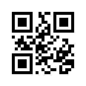 QR code 461538