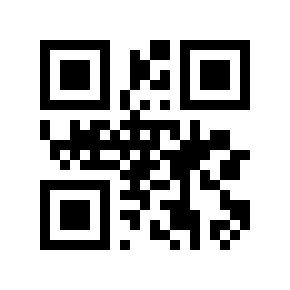 QR code 4619
