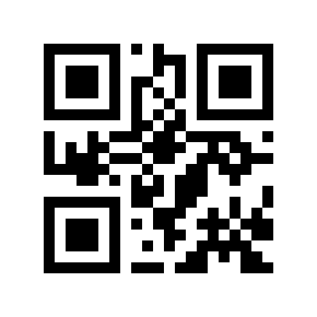 QR code 463494