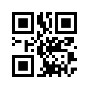 QR code 48313