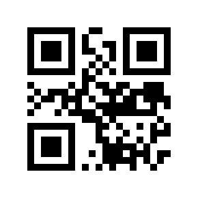 QR code 495322