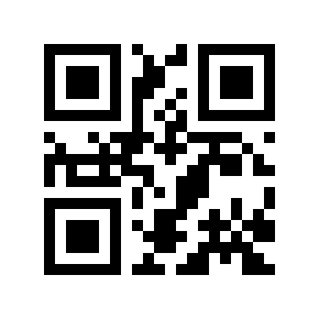 QR code 503010