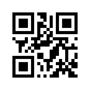 QR code 503879