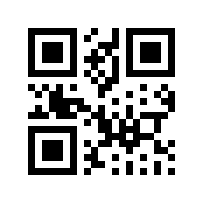 QR code 503919
