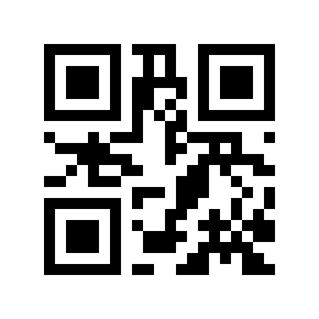 QR code 503924