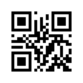 QR code 503927