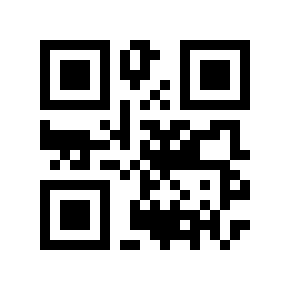 QR code 503928