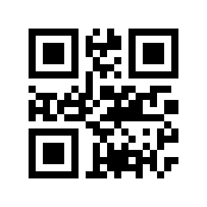 QR code 510994