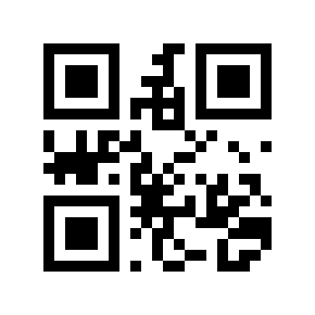 QR code 511001