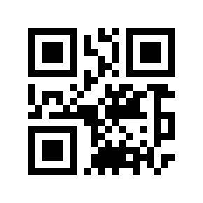 QR code 513004