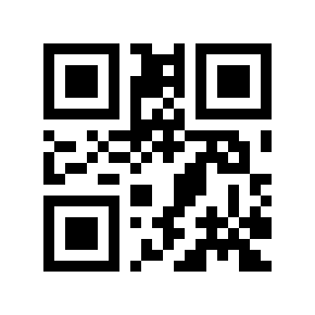 QR code 513491