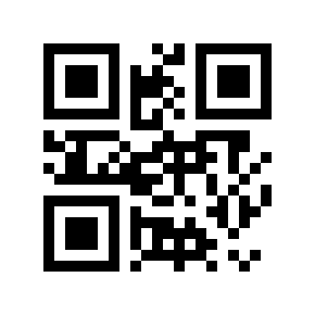 QR code 536499