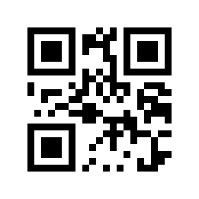 QR code 5619