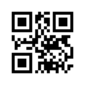 QR code 594335