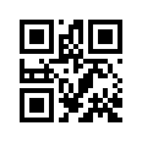 QR code 595202